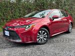 2022 Toyota Corolla Híbrido