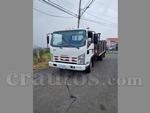 Isuzu NPR 2015