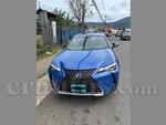 2022 Lexus Ux300e
