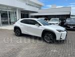2021 Lexus Ux250h