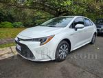 2023 Toyota Corolla Hibrido