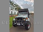 1979 Toyota Land Cruiser Bj40