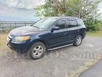2007 Hyundai Santa Fe