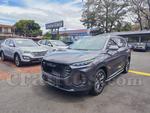 2022 Maxus D60