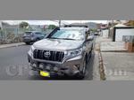 2022 Toyota Land Cruiser Prado Txl