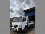 Mitsubishi Fuso 2020