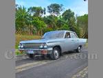 51970221 t
