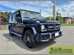 Mercedes-Benz G400 2007