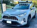 Toyota RAV4 LE 2019
