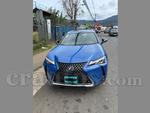 2022 Lexus Ux300e