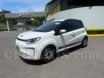 2024 JAC E Js 1